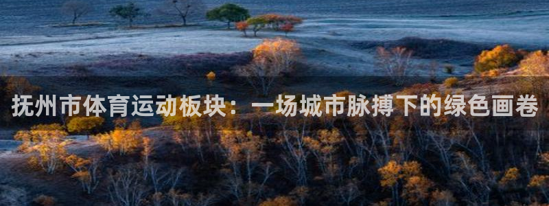 抚州市体育运动板块：一场城市脉搏下的绿色画卷