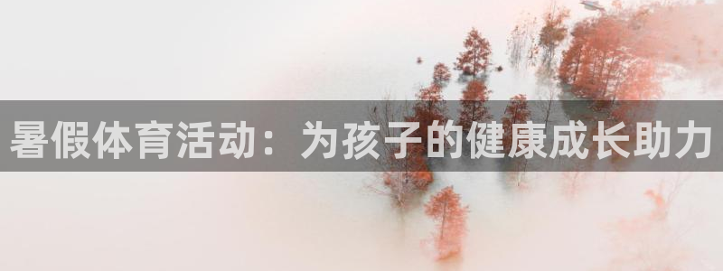 暑假体育活动：为孩子的健康成长助力