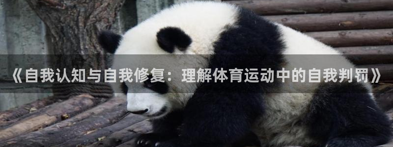 《自我认知与自我修复：理解体育运动中的自我判罚》